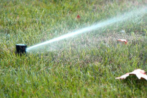 Rachio Smart Sprinkler Controller