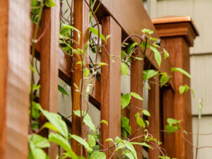 Build a DIY Trellis in a Weekend